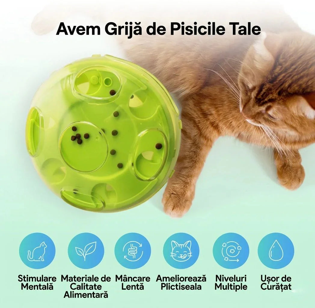 Accesorii hranire inteligenta si joaca pentru feline