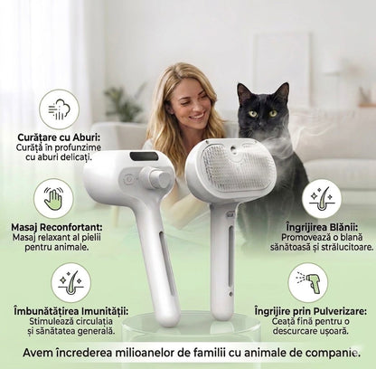 Perie SPA 3 în 1