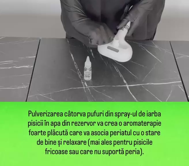 Încarcă clipul video: 