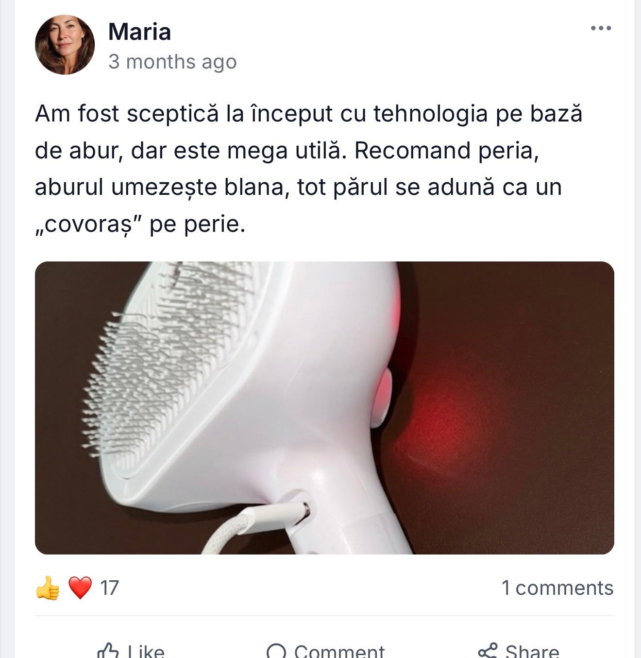 Dozator automat PISIK 2 in 1 pentru hrană și apă, cu bol metalic și  fântână