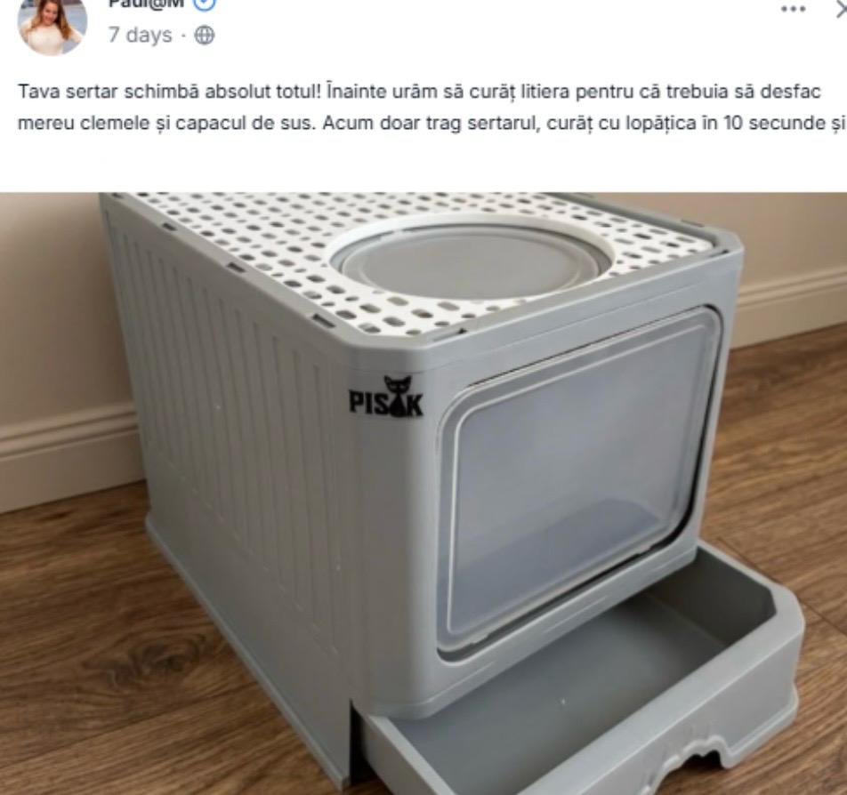 Dozator automat PISIK 2 in 1 pentru hrană și apă, cu bol metalic și  fântână
